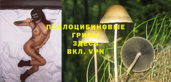 дмт Алзамай